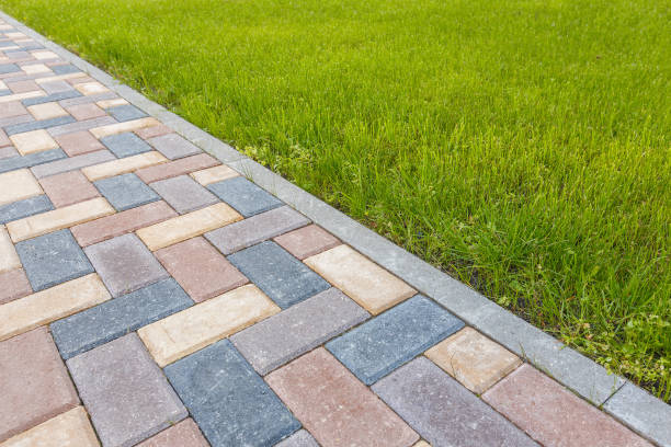 Best Professional Driveway Pavers  in Brooksville, FL